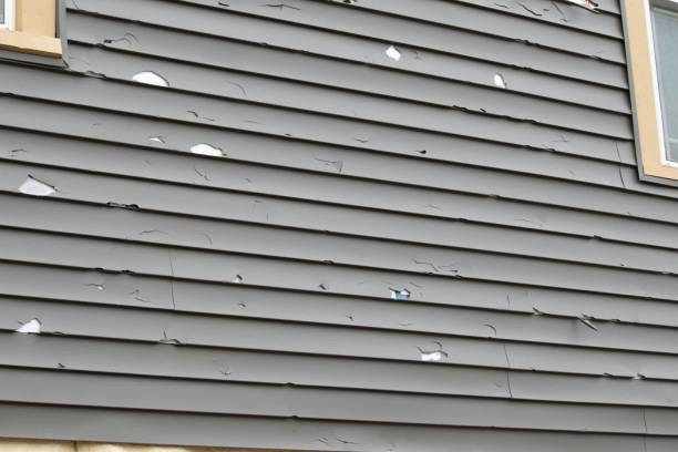 Best Yard Waste Removal  in Lan, MI